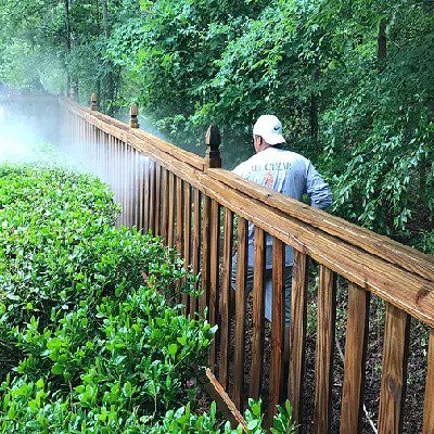 Pressure Washing Walkways