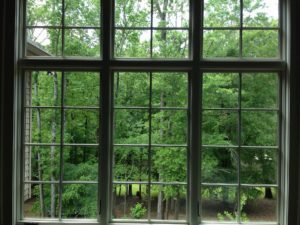 residential window cleaning 
