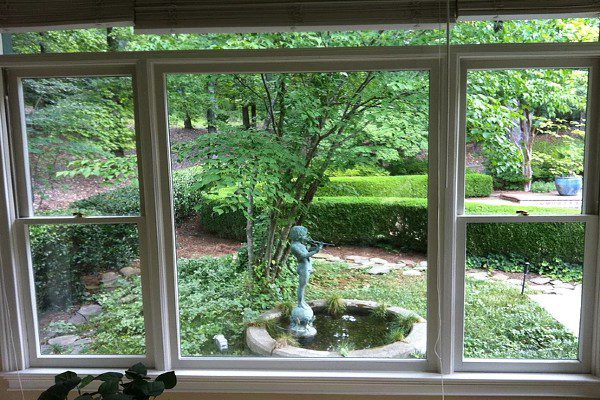 Window Cleaning Service