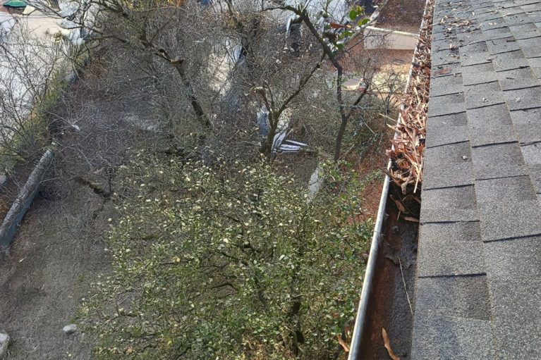 Gutter Cleaning Services