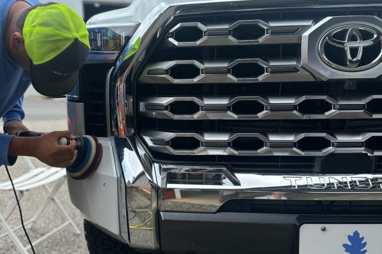 Auto Detailing Bug Removal